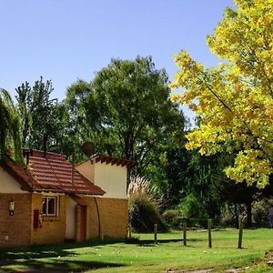 Cabana En Alta Montana - Complejo Cabanas Del Pastizal - Uspallata, Mendoza